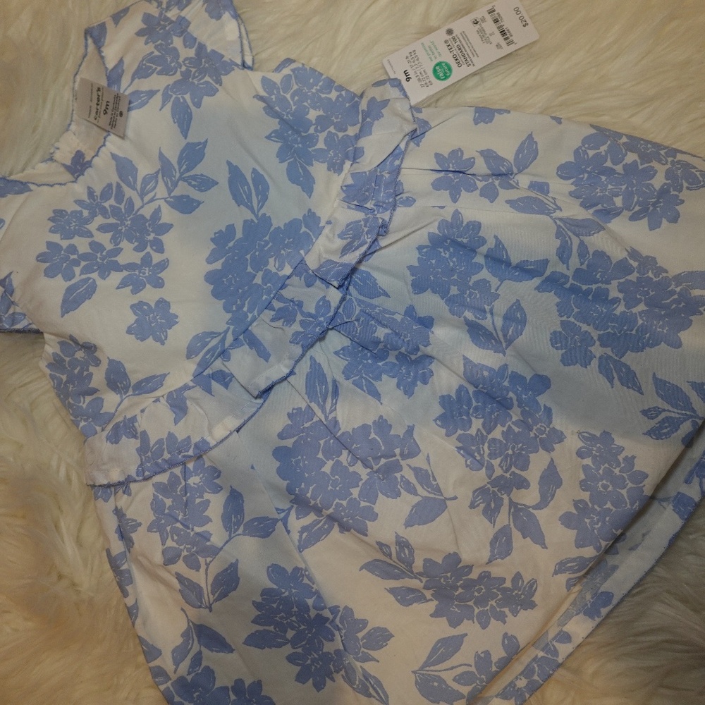 Carter's 9mo dress set